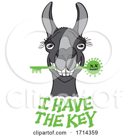 Black Llama with the Key Against the Coronavirus by Zooco
