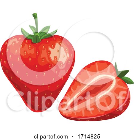 Strawberry by Vector Tradition SM