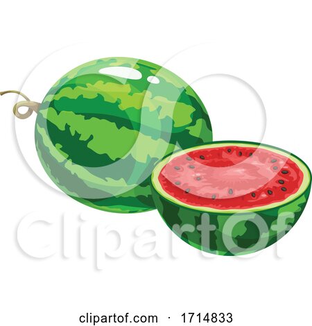 Watermelon by Vector Tradition SM