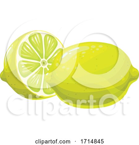Lime by Vector Tradition SM