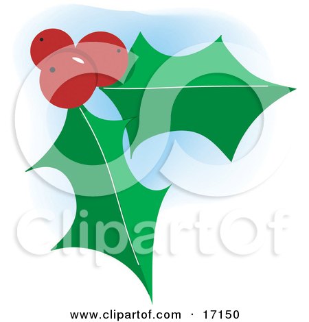 Two Green Holly Leaves With Three Red Berries On Christmas Clipart Illustration by Maria Bell