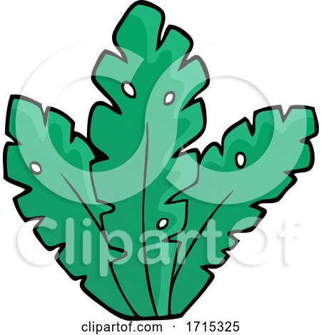 Tropical Plant by visekart