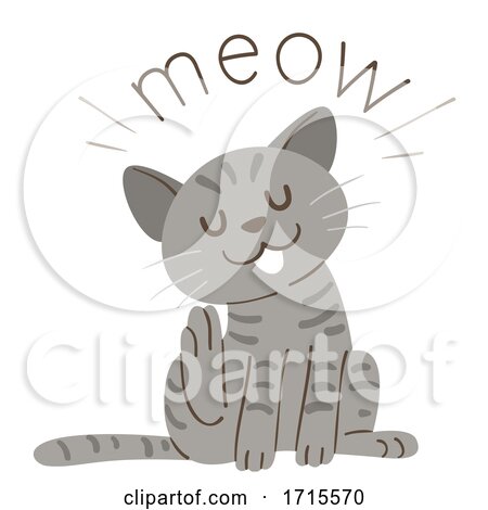 Cat Onomatopoeia Sound Meow Illustration by BNP Design Studio