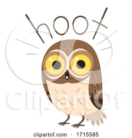 Owl Onomatopoeia Sound Hoot Illustration by BNP Design Studio