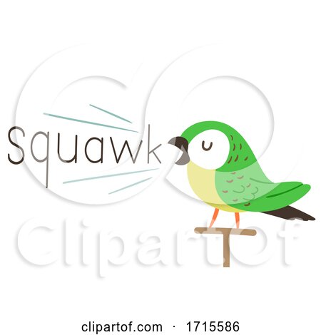 Parrot Onomatopoeia Sound Squawk Illustration by BNP Design Studio