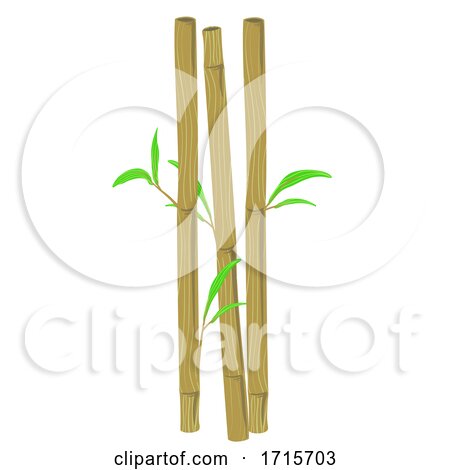Bamboo Straws Illustration by BNP Design Studio