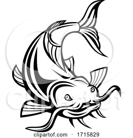 Catfish or Wels Catfish Attacking Front Cartoon Black and White by patrimonio