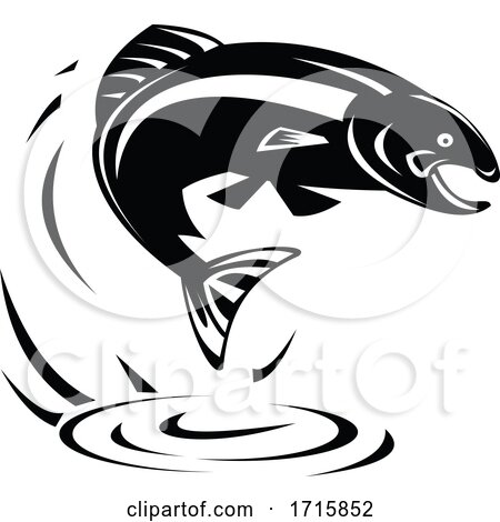 Black and White Trout Fish by patrimonio