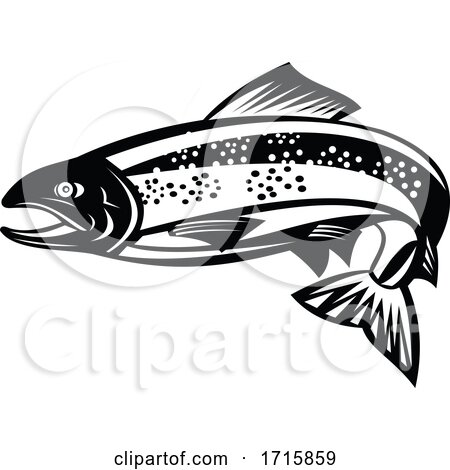 Black and White Trout or Speckled Trout Fish by patrimonio