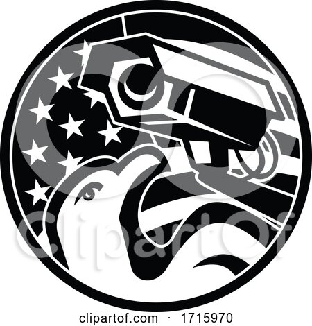 American Eagle and Security Camera USA Flag Circle Black and White by patrimonio