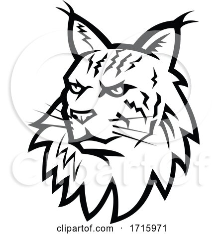 Head of Maine Coon Cat Mascot Black and White by patrimonio