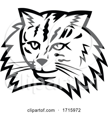 Head of Norwegian Forest Cat Mascot Black and White by patrimonio
