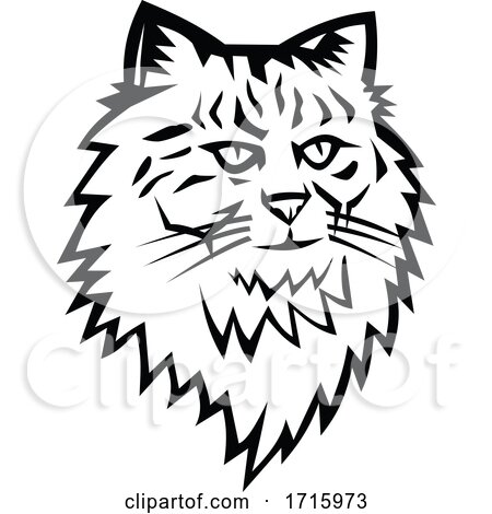 Head of Siberian Forest Cat Mascot Black and White by patrimonio