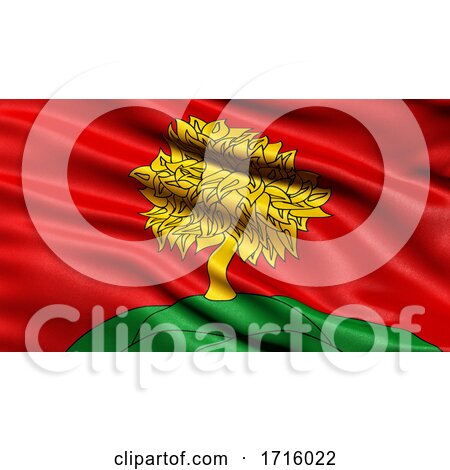 Flag of Lipetsk Oblast Waving in the Wind by stockillustrations