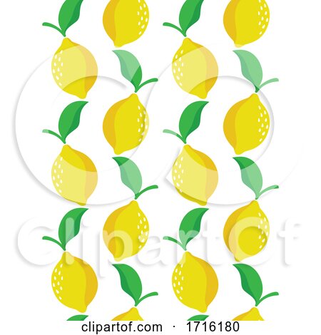 Lemons by elena
