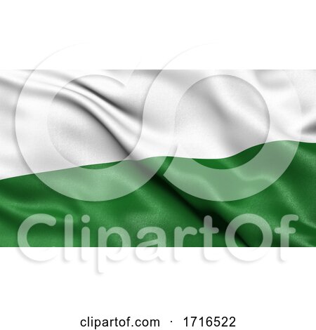 Flag of Saxony Waving in the Wind by stockillustrations