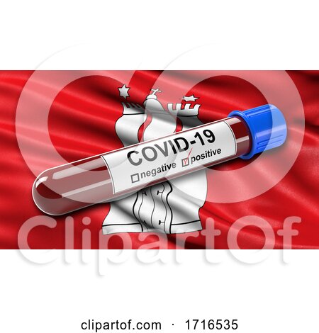 Flag of Hamburg Waving in the Wind with a Positive Covid 19 Blood Test Tube by stockillustrations