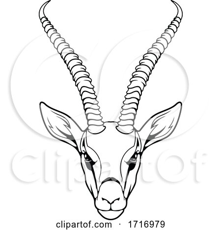 Impala in Black and White by Vector Tradition SM