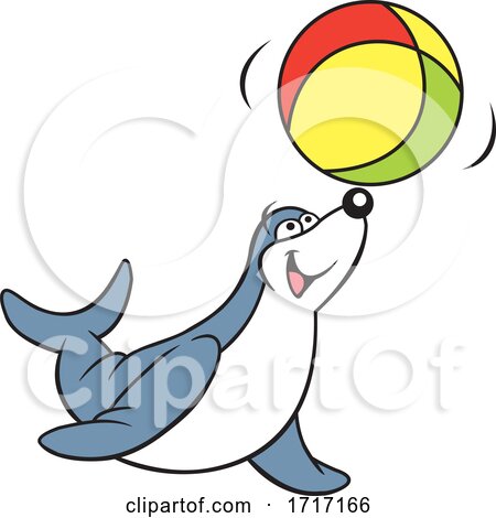 Seal Playing with a Beach Ball by Johnny Sajem