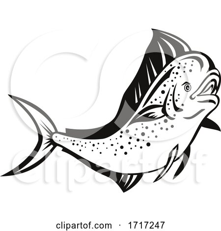 Mahi Mahi or Common Dolphinfish Jump up Retro Black and White by patrimonio