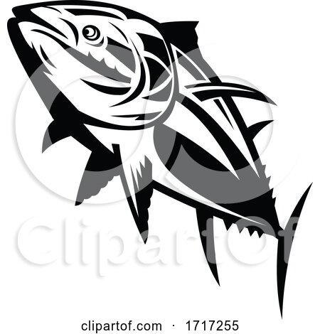 Atlantic Bluefin Tuna Swimming up Retro Black and White by patrimonio
