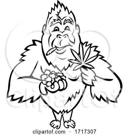 Gorilla Holding Blueberry and Cannabis Leaf Cartoon Mascot Black and White by patrimonio