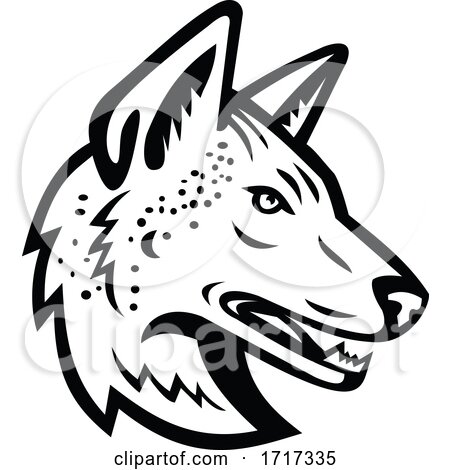 Gray Wolf or Arabian Wolf Head Mascot Black and White by patrimonio