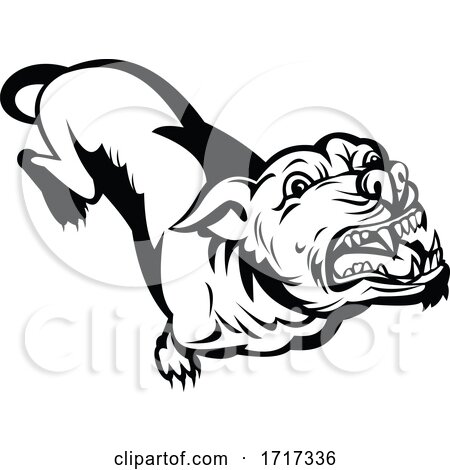 Angry Pit Bull or Pitbull Barking Retro Black and White by patrimonio ...