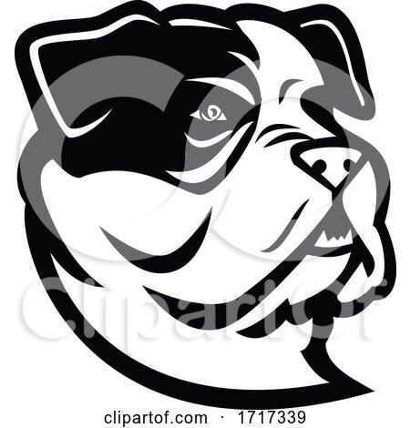 American Bully Bulldog Head Mascot Black and White by patrimonio