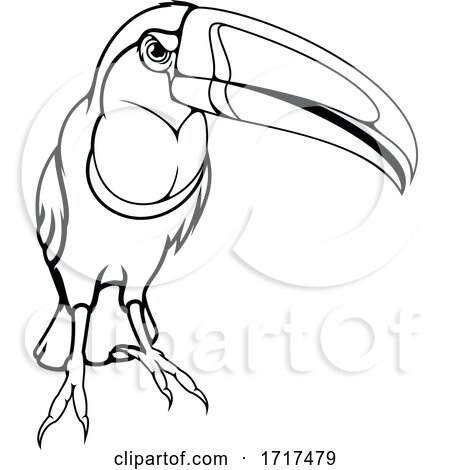 Toucan Bird Mascot in Black and White by Vector Tradition SM