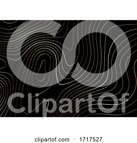 Topography Map Design in Gold and Black by KJ Pargeter