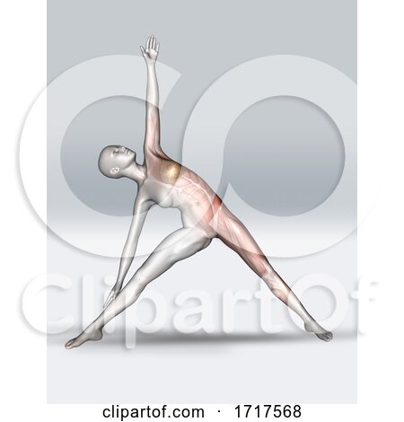 3D Female Figure in Yoga Pose with Muscle Map by KJ Pargeter