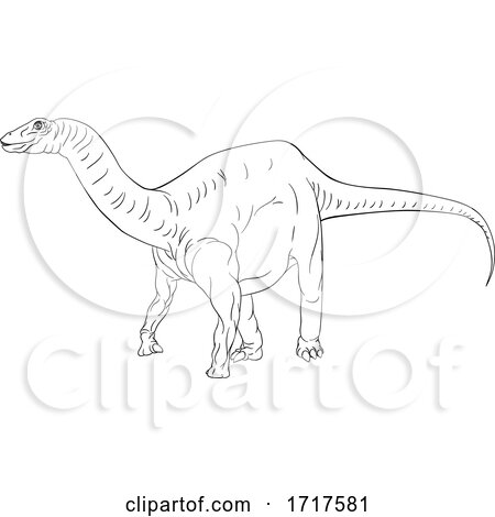 Diplodocus Dinosaur Black and White by AtStockIllustration