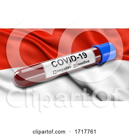 Flag of Tarija Waving in the Wind with a Positive Covid 19 Blood Test Tube by stockillustrations