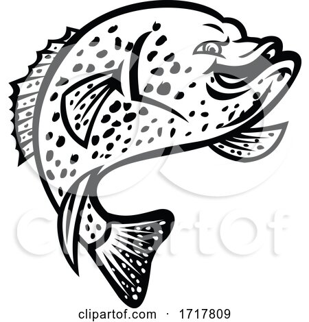 Crappie Fish Jumping up Mascot Black and White by patrimonio