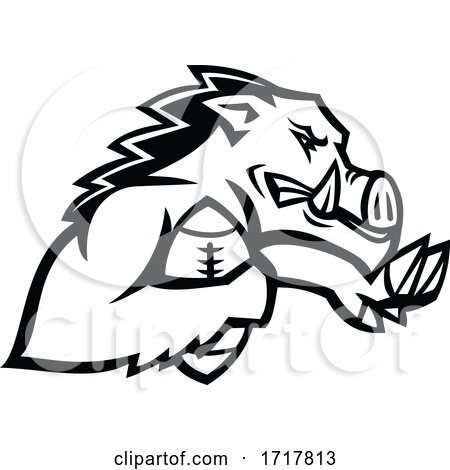 Wild Boar or Razorback with American Football Ball Mascot Black and White by patrimonio