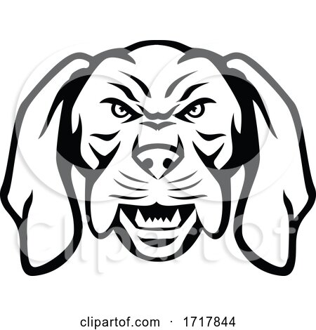 Angry Hungarian Vizsla Dog Head Mascot Black and White by patrimonio