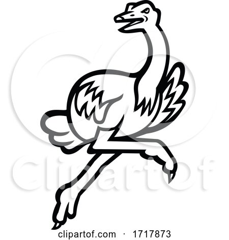 Ostrich Running at Full Speed Side View Mascot Black and White by patrimonio
