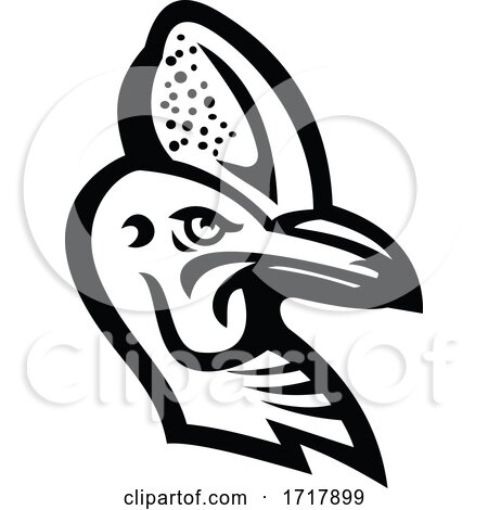 Head of a Cassowary Mascot Black and White by patrimonio