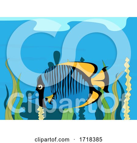 Hand Drawn Tropical Fish on Sea Vegetation Background by elaineitalia