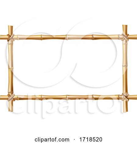 Bamboo Frame by Vector Tradition SM