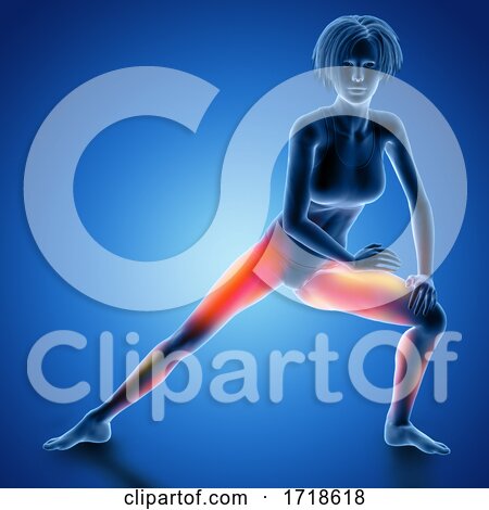 3D Female Figure in Thigh Stretch Pose with Muscles Used Highlighted by KJ Pargeter