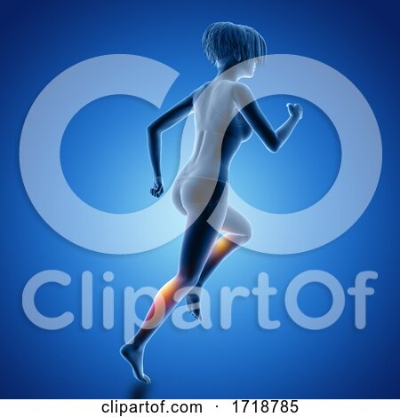 3D Female Figure in Running Pose with Muscles Used Highlighted by KJ Pargeter