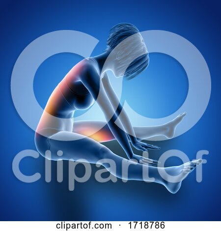 3D Female in Seated Stretch with Muscles Used Highlighted by KJ Pargeter