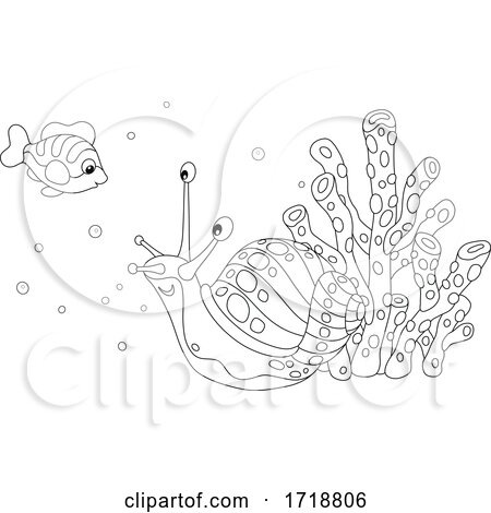 Black and White Cute Sea Snail and Fish by Alex Bannykh