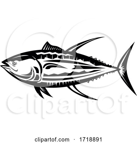 Yellowfin Tuna Thunnus Albacares or Ahi Side Retro Black and White by patrimonio