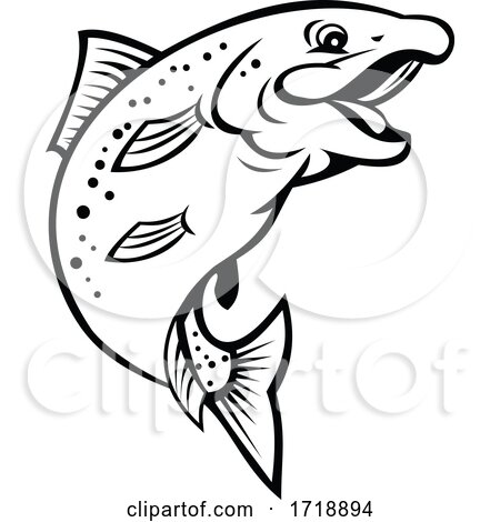 Happy Rainbow Trout or Salmon Fish Jumping up Cartoon Black and White by patrimonio