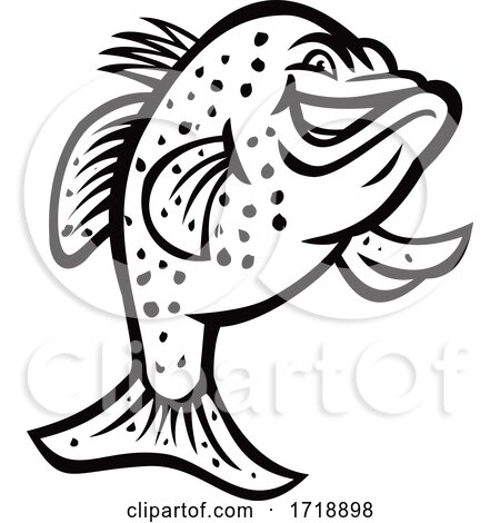 Crappie Fish Standing up Mascot Black and White by patrimonio