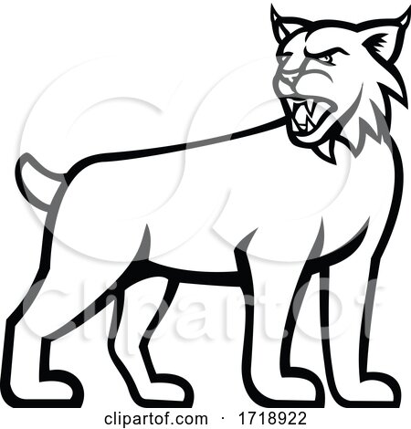 Bobcat or Lynx Cat Standing Side View Mascot Black and White by patrimonio