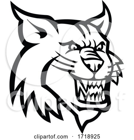 Angry Bobcat or Canadian Lynx Head Mascot Black and White by patrimonio